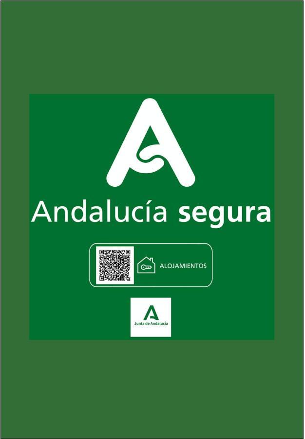 Ferienwohnung Holidays2Malaga Junto Catedral Exterior foto
